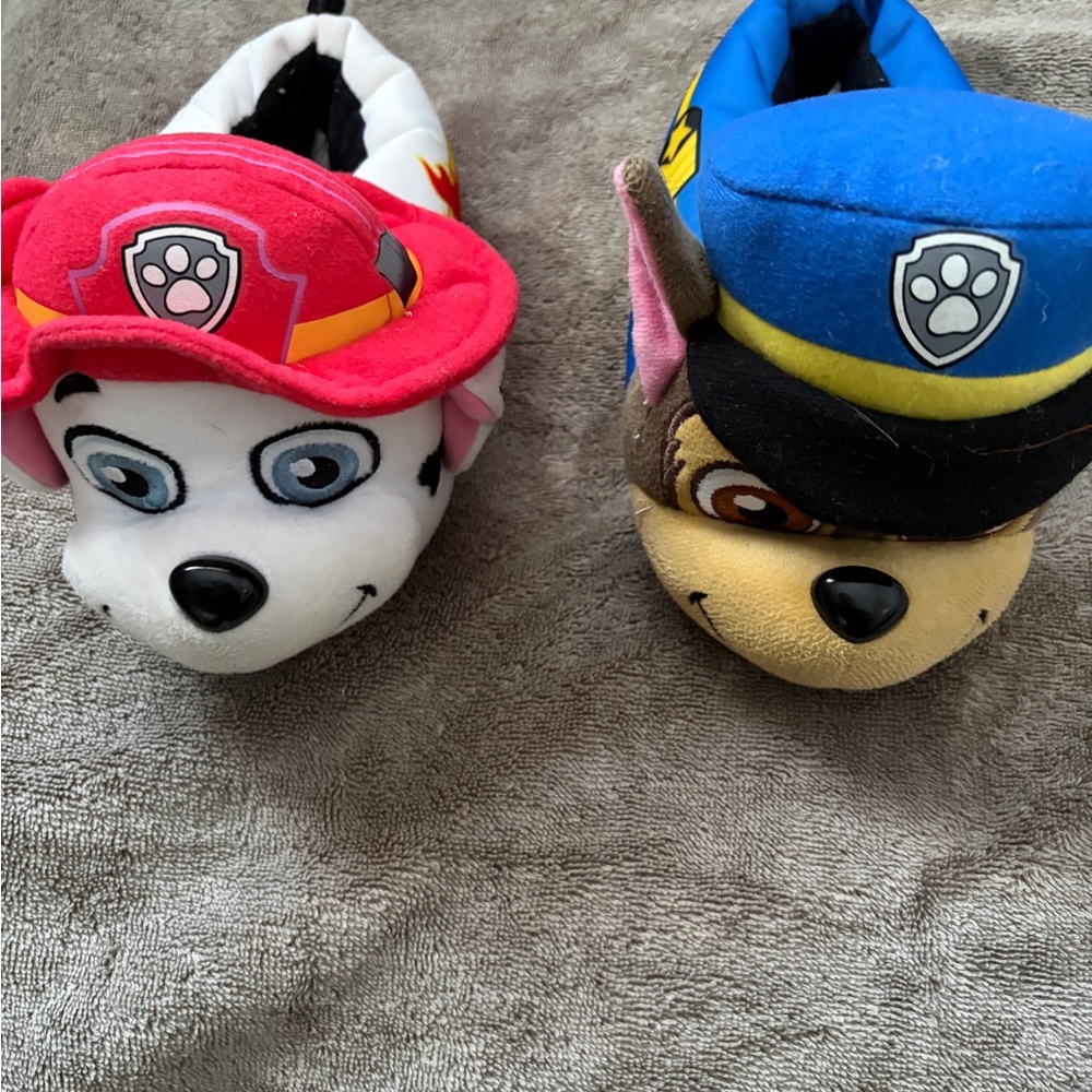 Paw Patrol Character Slippers